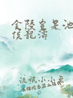 金陵岂是池中物侯龙涛