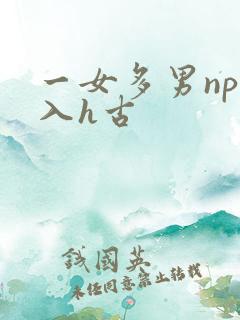 一女多男np慎入h古