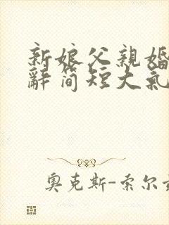 新娘父亲婚礼致辞简短大气