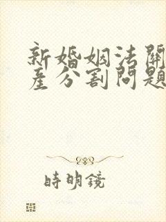 新婚姻法关于财产分割问题