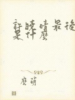 许晓晴最后结局是什么