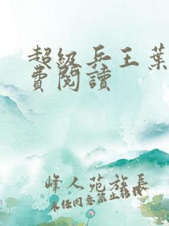 超级兵王叶谦免费阅读