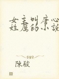 女主叫唐心男主姓厉的小说