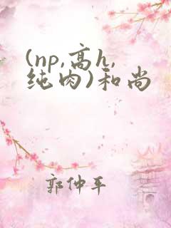 (np,高h,纯肉)和尚