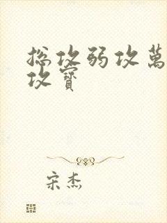 总攻弱攻万人迷攻宝