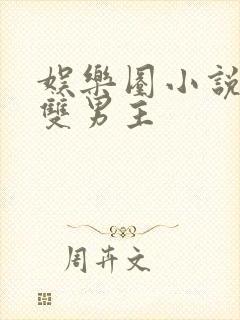 娱乐圈小说推荐双男主