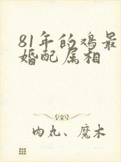 81年的鸡最佳婚配属相