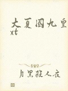 大夏国九皇子txt