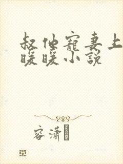 叔他宠妻上瘾古暖暖小说