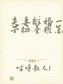 夫妻离婚一个孩子抚养权怎么判定