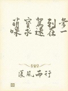 萌宝驾到爹地妈咪永远在一起短剧免费