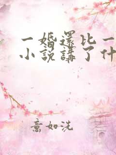 一婚还比一婚高小说讲了什么