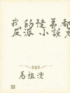 我的徒弟都是大反派 小说免费阅读