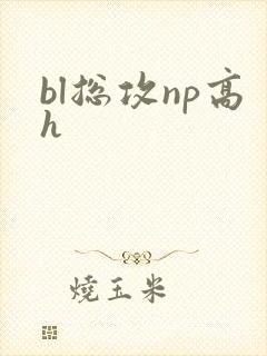 bl总攻np高h