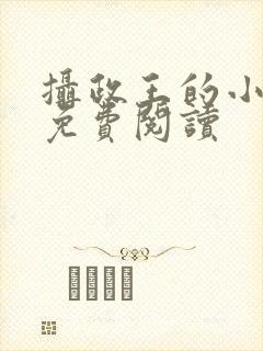 摄政王的小娇妃免费阅读