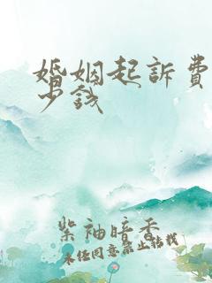 婚姻起诉费用多少钱