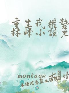 重生我权势滔天林峰小说免费阅读