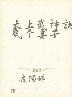 太上武神诀吴云几个妻子