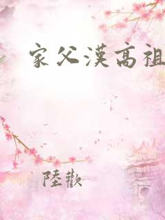 家父汉高祖无错