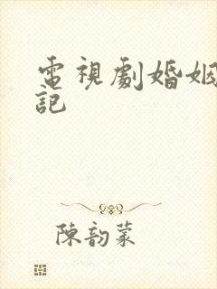 电视剧婚姻历险记