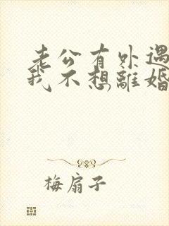 老公有外遇咋办我不想离婚