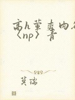 高h荤爽肉欲文〈np〉青