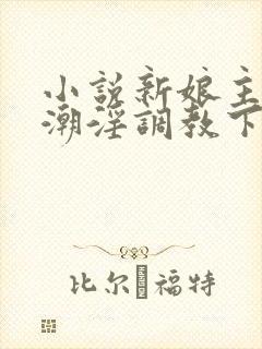 小说新娘主人高潮淫调教下体穴木马