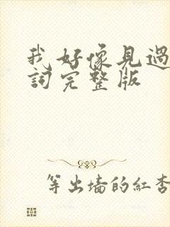 我好像见过你歌词完整版