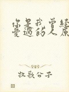 你是我曾经拼命爱过的人原唱歌词