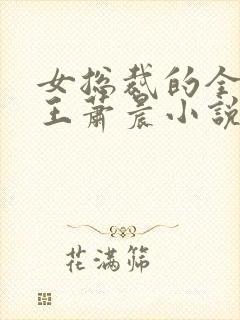 女总裁的全能兵王萧晨小说