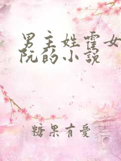 男主姓霍女主姓阮的小说