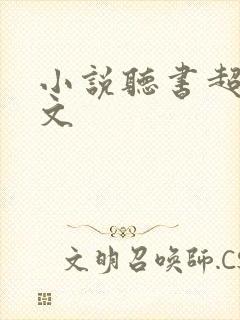 小说听书超长爽文