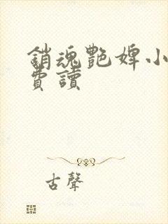 销魂艳婢小说免费读