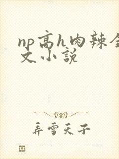 np高h肉辣全文小说