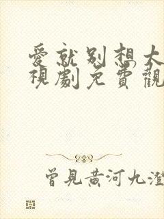 爱就别想太多电视剧免费观看全集