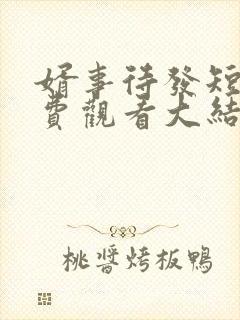 婿事待发短剧免费观看大结局后续