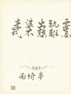 老婆出轨要离婚我不想离怎么办