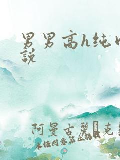 男男高h纯肉小说