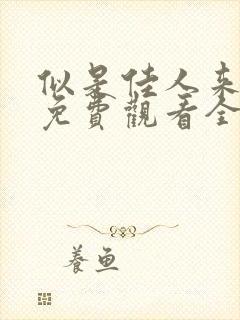 似是佳人来短剧免费观看全集高清