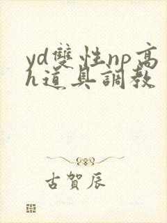 yd双性np高h道具调教