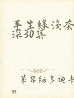 平生缘浅奈何情深30集