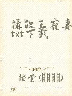 摄政王宠妻日常txt下载