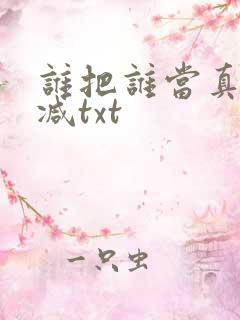 谁把谁当真未删减txt