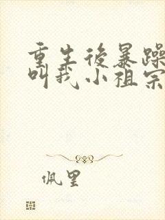 重生后暴躁大佬叫我小祖宗 小说