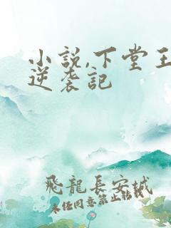 小说,下堂王妃逆袭记