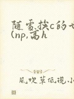 随处挨c的世界(np,高h