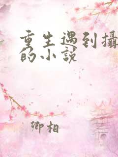 重生遇到摄政王的小说