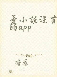 看小说没有广告的app