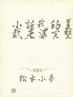 小说我的美女总裁老婆完整版