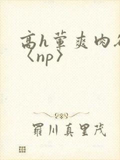 高h荤爽肉欲文〈np〉